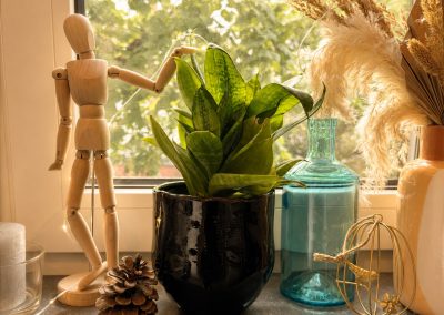 poznaj nasz salon masażu harmonia recepcja, dekoracja na oknie